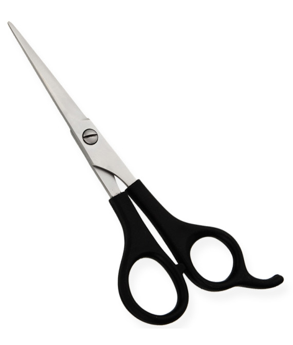 Plastic Handle Scissors