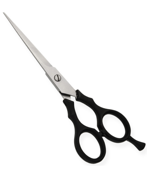 Plastic Handle Scissors