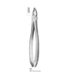 Extracting Forceps