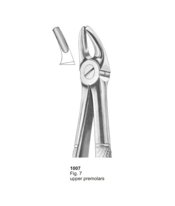 Extracting Forceps