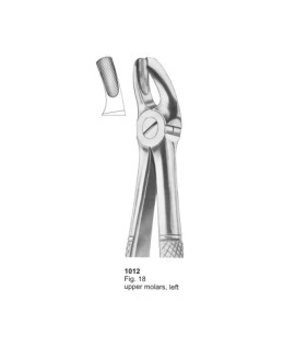 Extracting Forceps