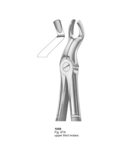 Extracting Forceps