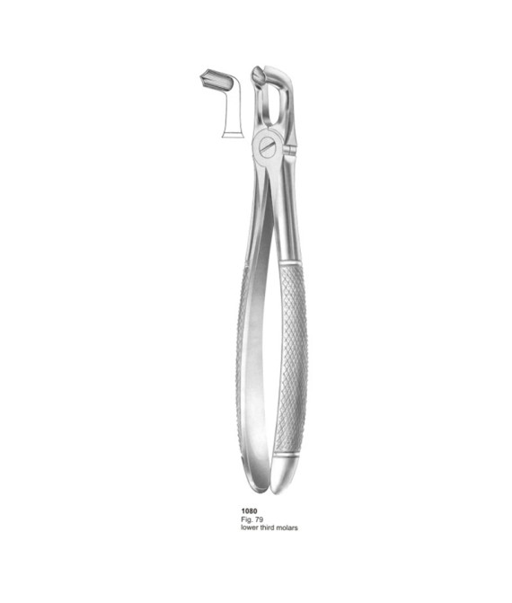 Extracting Forceps