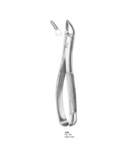 Extracting Forceps