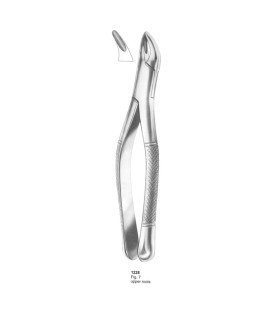 Extracting Forceps