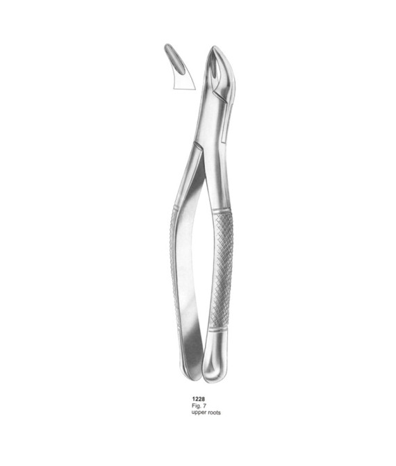 Extracting Forceps