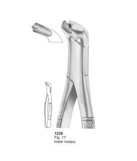 Extracting Forceps