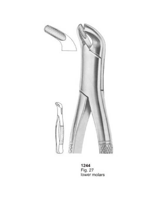 Extracting Forceps