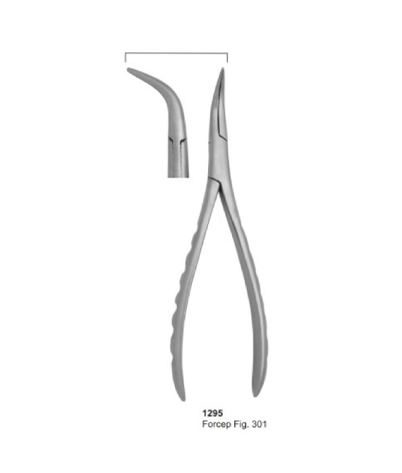 Extracting Forceps