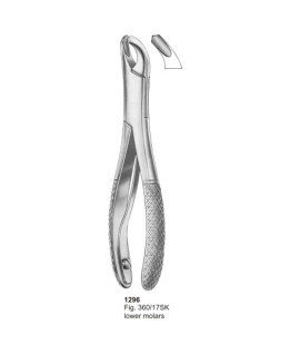 Extracting Forceps